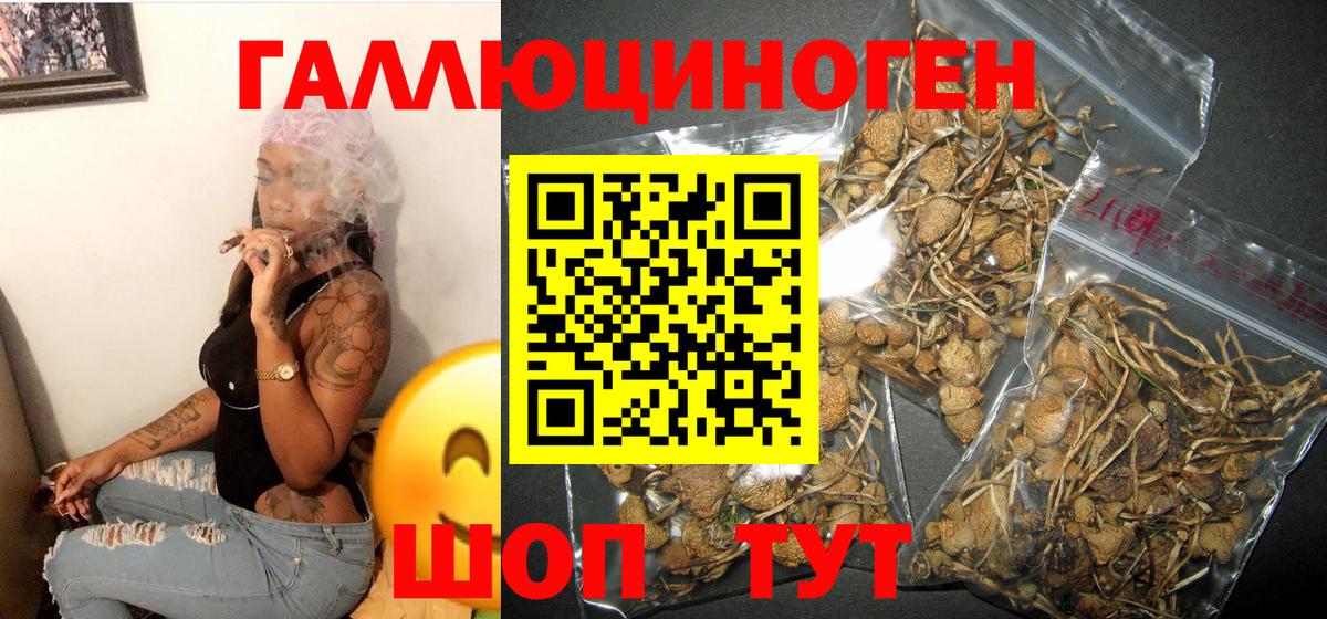 Галлюциногенные грибы Psilocybine cubensis Ревда